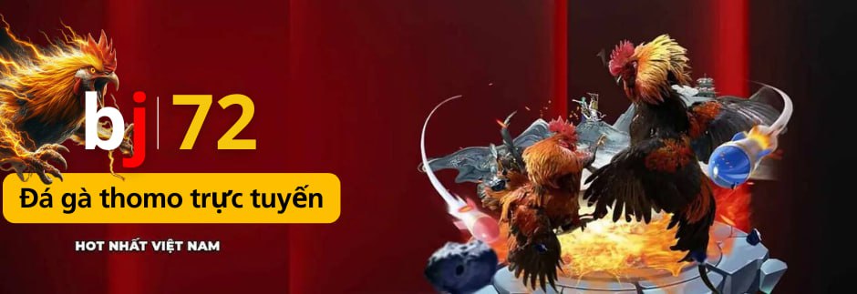 Baner BJ72 TV